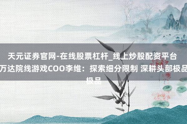 天元证券官网-在线股票杠杆_线上炒股配资平台 万达院线游戏COO李维：探索细分限制 深耕头部极品