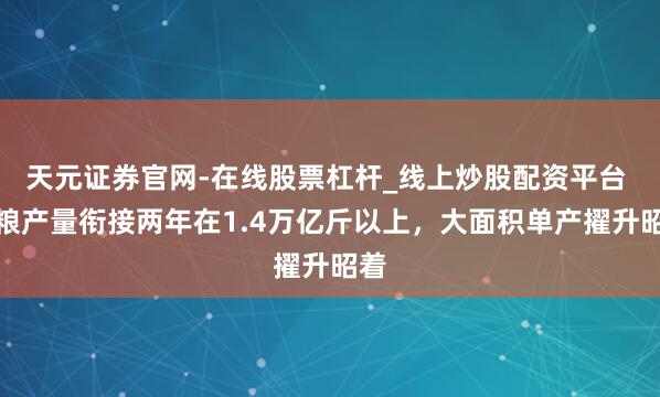 天元证券官网-在线股票杠杆_线上炒股配资平台 食粮产量衔接两年在1.4万亿斤以上，大面积单产擢升昭着