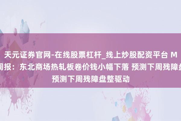 天元证券官网-在线股票杠杆_线上炒股配资平台 Mysteel周报：东北商场热轧板卷价钱小幅下落 预测下周残障盘整驱动