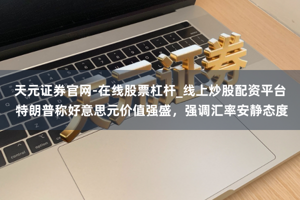 天元证券官网-在线股票杠杆_线上炒股配资平台 特朗普称好意思元价值强盛，强调汇率安静态度