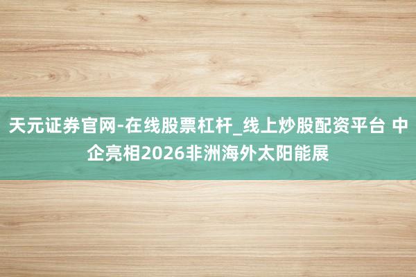 天元证券官网-在线股票杠杆_线上炒股配资平台 中企亮相2026非洲海外太阳能展