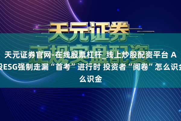 天元证券官网-在线股票杠杆_线上炒股配资平台 A股ESG强制走漏“首考”进行时 投资者“阅卷”怎么识金